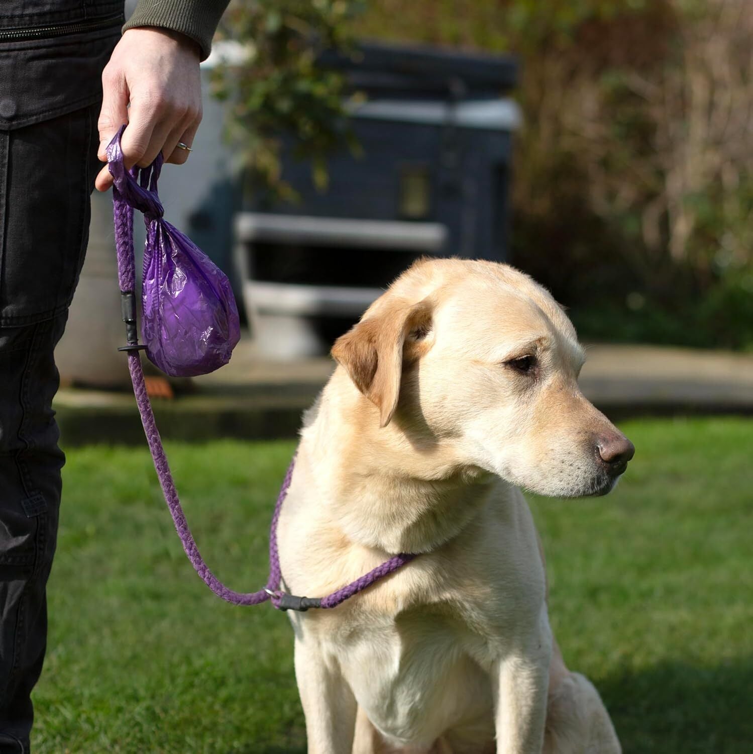 Dog Poo Bags 270 Biodegradable Doggie Poop Bags Thick Refill Rolls Tie Handles